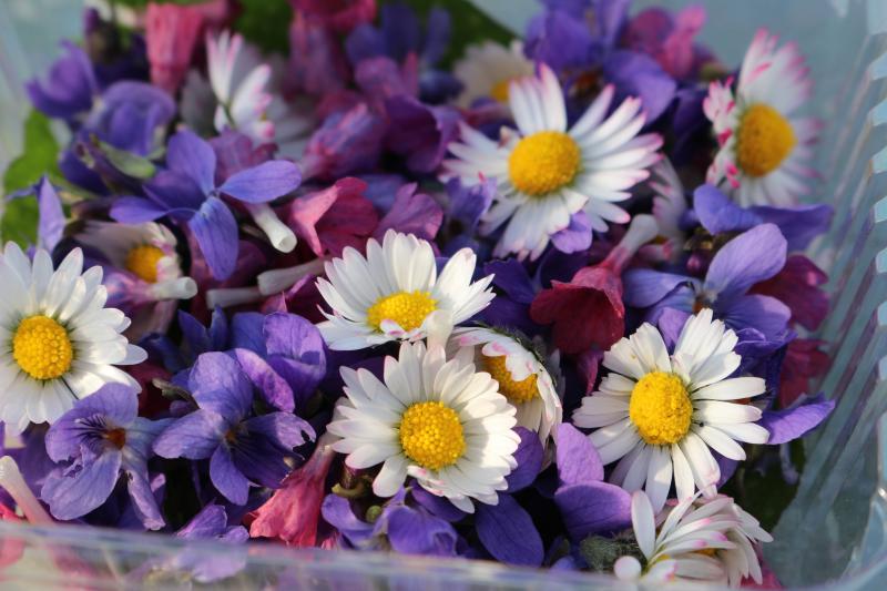 fleurs comestibles - fleurs de printemps 