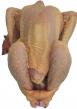 Poulet biologique prêt a cuire (Nathalie et Olivier MARTY) Poulet biologique prêt a cuire (Nathalie et Olivier MARTY)