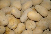 POMME DE TERRE ALLIANS - 1 KG (SARL au coin nature)
