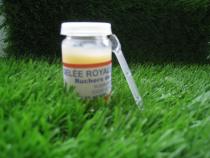 Gelée Royale 20 g (Les Ruchers de Saint-Mayeul)