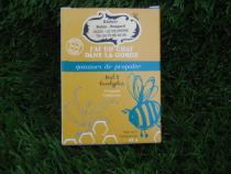 Gommes de Propolis Miel Eucalyptus (Les Ruchers de Saint-Mayeul)