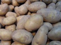 PDT Allians - pomme de terre 