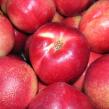 Nectarine blanche - Lot de 4pièces - Nectarine blanche 