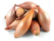 Echalion - 500 g (L'Echo Potager)