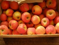 jubilé 2kg - Pommes 