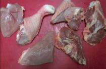 coq 1 - COQ 