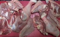 coq2 - COQ 