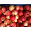 Pommes Elstar 2kg - Pommes 