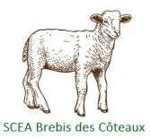 Steaks d'agneau marinés maître d'hotel (Brebis des Côteaux)