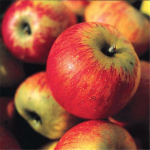 Pommes reine des reinettes - sachet de 2kg (Domaine de Franchesse)