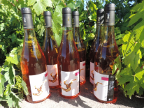 Carton de 6 bouteilles Saint Pourçain Rosé (Domaine des Bourrats)