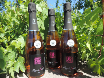 Valisette méthode trad' Rose de noirs (Domaine des Bourrats)