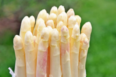 Asperges Violettes   cal 20/22      Botte  de 500 g. (EARL  la Régie)