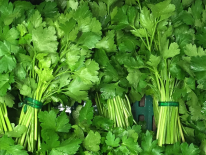 Persil plat (ESAT Yzeure) Persil plat (ESAT Yzeure)