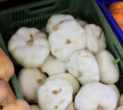 PATISSON (ESAT Yzeure)
