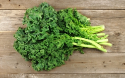 Chou Kale (ESAT Yzeure) Chou Kale (ESAT Yzeure)