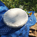 Gros brebis (Ferme de la Passiflore)