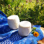 Petit brebis (Ferme de la Passiflore)
