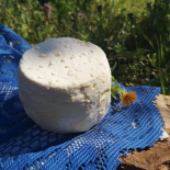Vache crémeux (Ferme de la Passiflore)