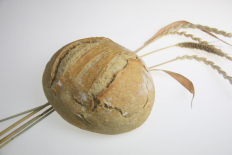 Pain bis de 500g (Ferme des beguets)