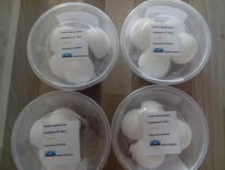lot de 3 boites pastilles désinfectantes WC + 1 offerte ! (hygibioservice)