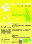 Mélisse (La Belle Plante)