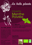 Menthe poivrée (La Belle Plante)
