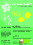 Tilleul (La Belle Plante)