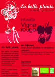 Vigne rouge (La Belle Plante)