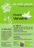 Verveine (La Belle Plante)