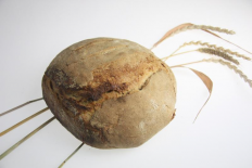 Pain bise 1 kg (La Ferme des Béguets)