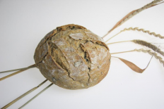 Pain aux 3 graines  de 500g (La Ferme des Béguets)