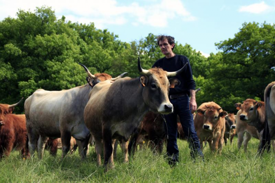 La Ferme des Béguets (Viandes & Poissons - Porc)
