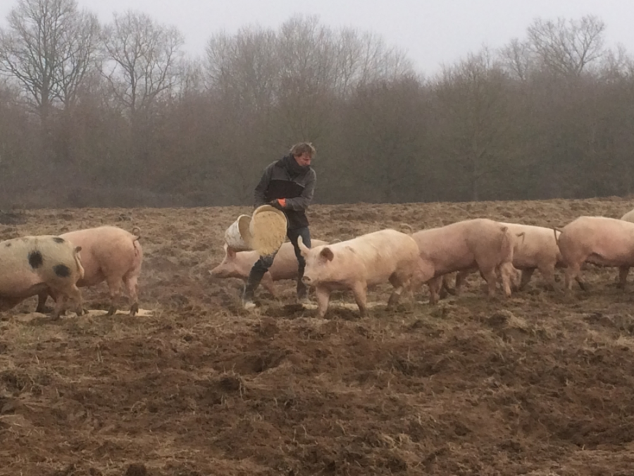 La Ferme des Grillons (Viandes & Poissons - Porc)