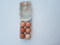 6 gros oeufs fermier bio extra frais (La Ferme Tradition)