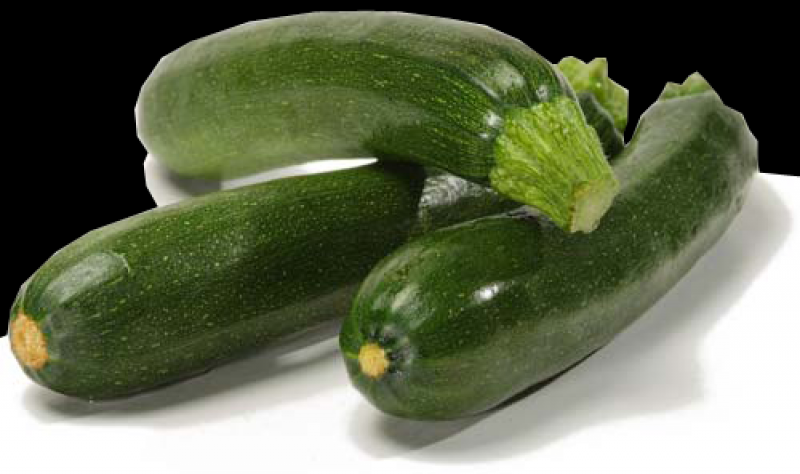 Courgette verte (Le Jardin d'Issards)