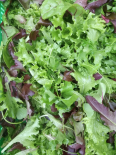 Mesclun - 150g (Le Jardin d'Issards)