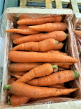 Carotte (Le Jardin d'Issards)