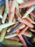 Carotte couleur - Lot de 1kg (Le Jardin d'Issards)