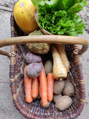 Panier de la semaine ( moyen) (Le Jardin d'Issards)
