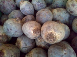 Betteraves - Lot de 500g (Le Jardin d'Issards)