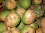 Rutabaga (Le Jardin d'Issards)
