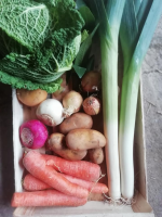 Panier "pot au feu" - (Le Jardin d'Issards)