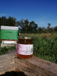 MIEL DE FLEURS 250 G (Le Miel de Clusors)