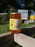 Miel de Tournesol 1kg (Le Miel de Clusors)