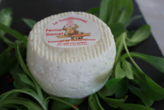 LE TRADITIONNEL FRAIS (Le  P'tit Damet)