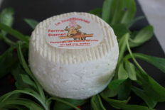 LE TRADITIONNEL SANS SEL (Le  P'tit Damet)