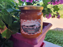 Confiture extra d'abricot 270g (Les confitures de Vanes)