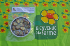 Escargots en coquille (Via L'Escargot)